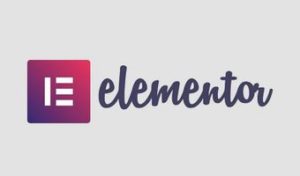 elementor-pro