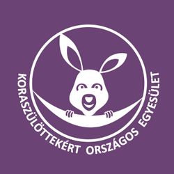 PICi Kiállítás - Óriás Hősök