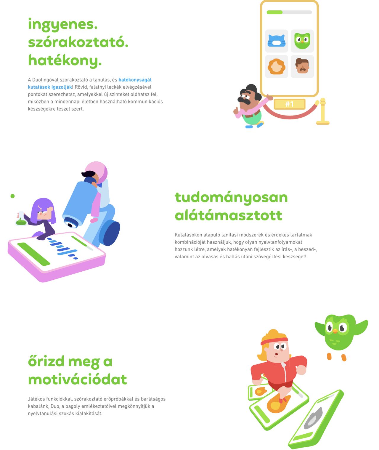 Duolingo termékleírás